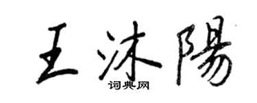 王正良王沐阳行书个性签名怎么写