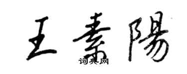 王正良王素阳行书个性签名怎么写