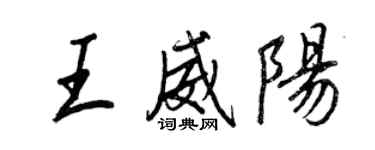 王正良王威阳行书个性签名怎么写