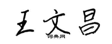 王正良王文昌行书个性签名怎么写
