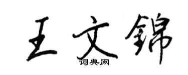 王正良王文锦行书个性签名怎么写
