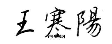 王正良王寒阳行书个性签名怎么写