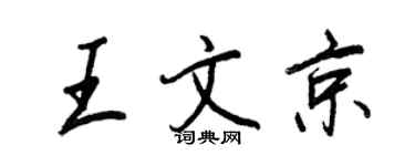 王正良王文京行书个性签名怎么写