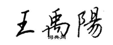 王正良王禹阳行书个性签名怎么写