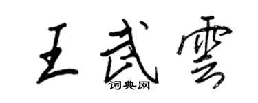 王正良王武云行书个性签名怎么写