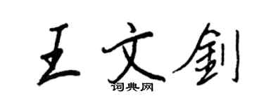 王正良王文剑行书个性签名怎么写