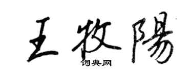 王正良王牧阳行书个性签名怎么写