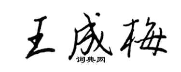 王正良王成梅行书个性签名怎么写