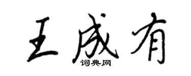 王正良王成有行书个性签名怎么写