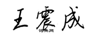 王正良王震成行书个性签名怎么写