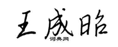 王正良王成昭行书个性签名怎么写