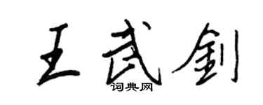 王正良王武剑行书个性签名怎么写