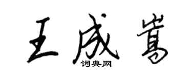 王正良王成嵩行书个性签名怎么写