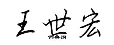 王正良王世宏行书个性签名怎么写