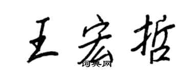 王正良王宏哲行书个性签名怎么写