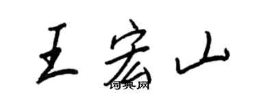 王正良王宏山行书个性签名怎么写