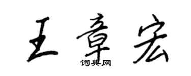 王正良王章宏行书个性签名怎么写