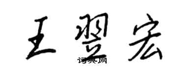 王正良王翌宏行书个性签名怎么写
