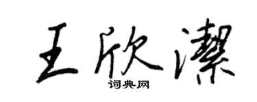 王正良王欣洁行书个性签名怎么写