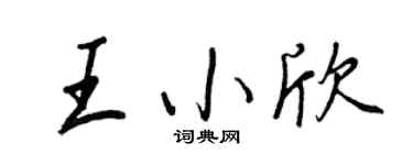 王正良王小欣行书个性签名怎么写
