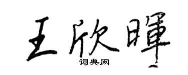 王正良王欣晖行书个性签名怎么写