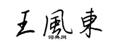王正良王风东行书个性签名怎么写