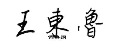王正良王东鲁行书个性签名怎么写