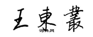王正良王东丛行书个性签名怎么写