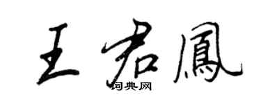 王正良王君凤行书个性签名怎么写