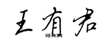 王正良王有君行书个性签名怎么写