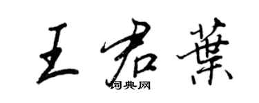王正良王君叶行书个性签名怎么写