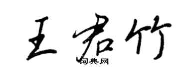 王正良王君竹行书个性签名怎么写