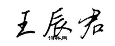 王正良王辰君行书个性签名怎么写