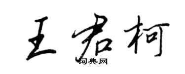 王正良王君柯行书个性签名怎么写