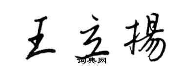 王正良王立扬行书个性签名怎么写