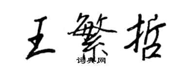 王正良王繁哲行书个性签名怎么写