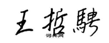 王正良王哲骋行书个性签名怎么写