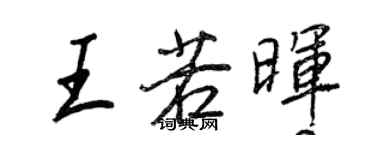 王正良王若晖行书个性签名怎么写
