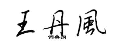 王正良王丹风行书个性签名怎么写