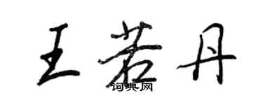 王正良王若丹行书个性签名怎么写
