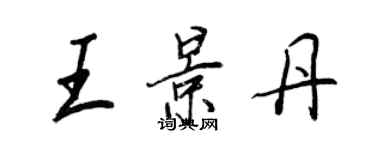 王正良王景丹行书个性签名怎么写