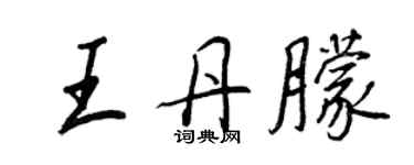 王正良王丹朦行书个性签名怎么写