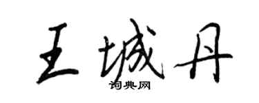 王正良王城丹行书个性签名怎么写