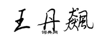 王正良王丹飚行书个性签名怎么写