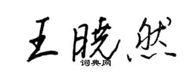 王正良王晓然行书个性签名怎么写
