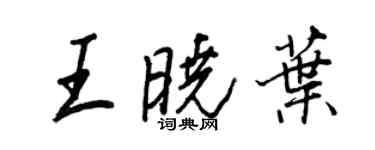 王正良王晓叶行书个性签名怎么写