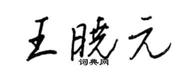 王正良王晓元行书个性签名怎么写