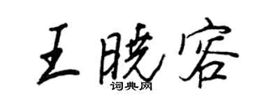 王正良王晓容行书个性签名怎么写