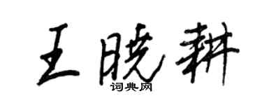 王正良王晓耕行书个性签名怎么写