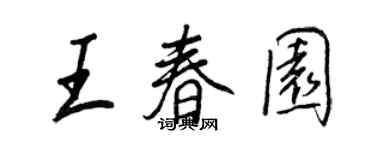 王正良王春园行书个性签名怎么写